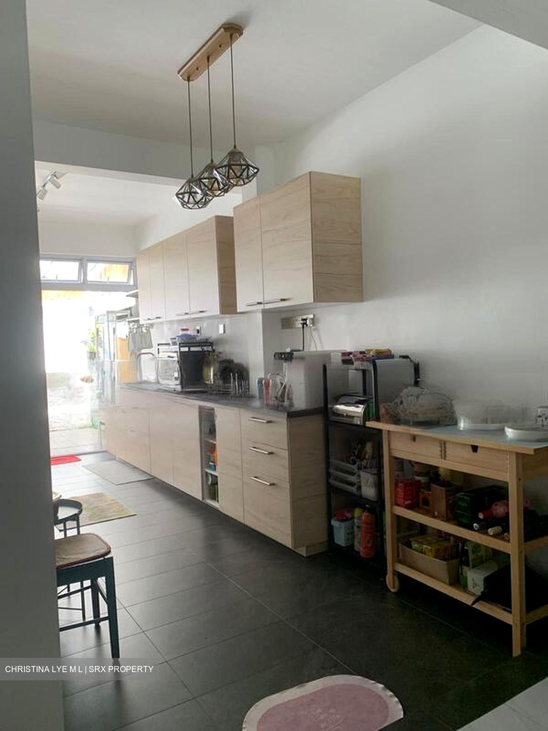 Bedok Reservoir Road (D16), Terrace #459008881